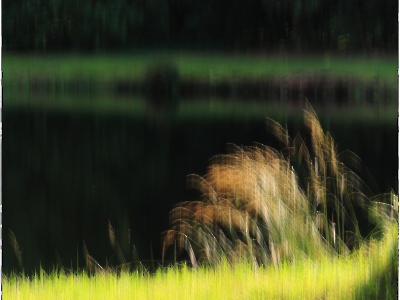 ICM - gestisch_11