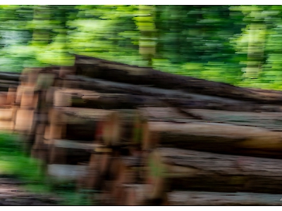 ICM - gestisch_17