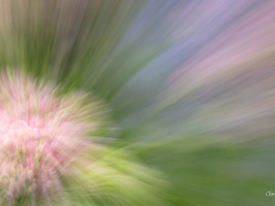 ICM - gestisch_22