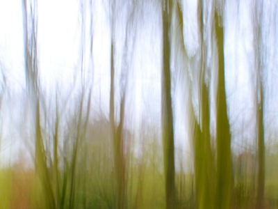 ICM - gestisch_24