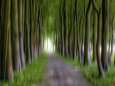 ICM - gestisch_27