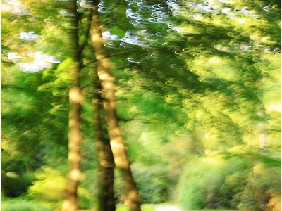 ICM - gestische Fotografie
