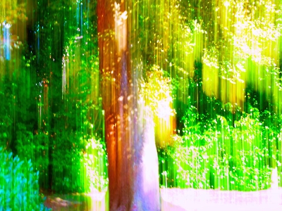 ICM - gestisch_9
