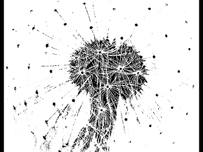 Abstrakt_8