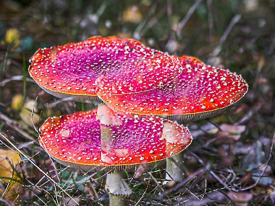 Mehrfachbelichtung_16