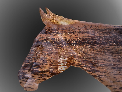 Mehrfachbelichtung_23