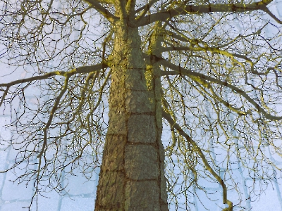 Mehrfachbelichtung_24