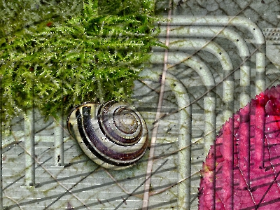 Doppel / Mehrfachbelichtung