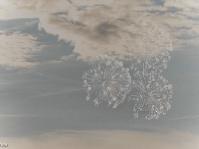 Mehrfachbelichtung_9