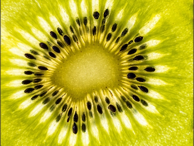Makro_2