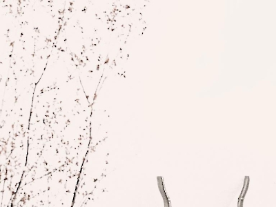 Minimalistisch_11