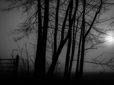Schwarz - Weiss_10