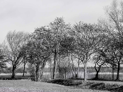 Schwarz - Weiss_1